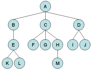 Tree Overview