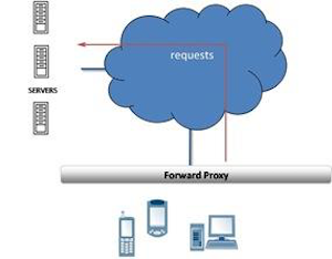 转发代理（Forward Proxies）