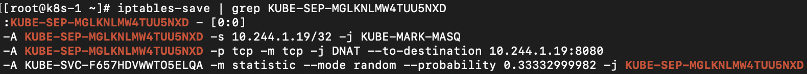 10.244.1.19:8080