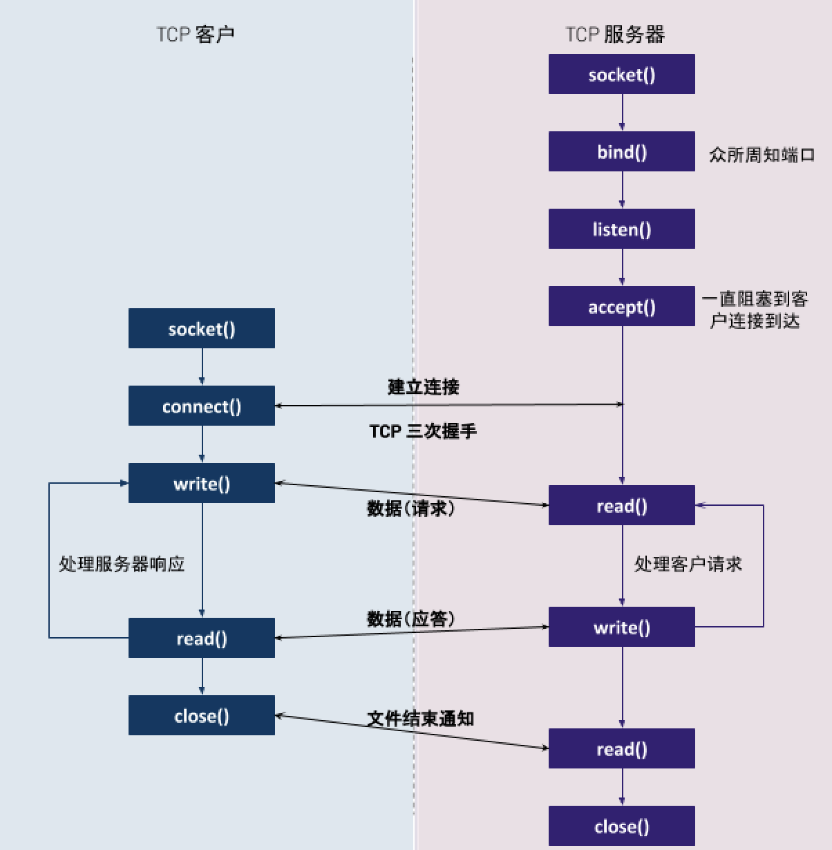 tcp socket functions.png