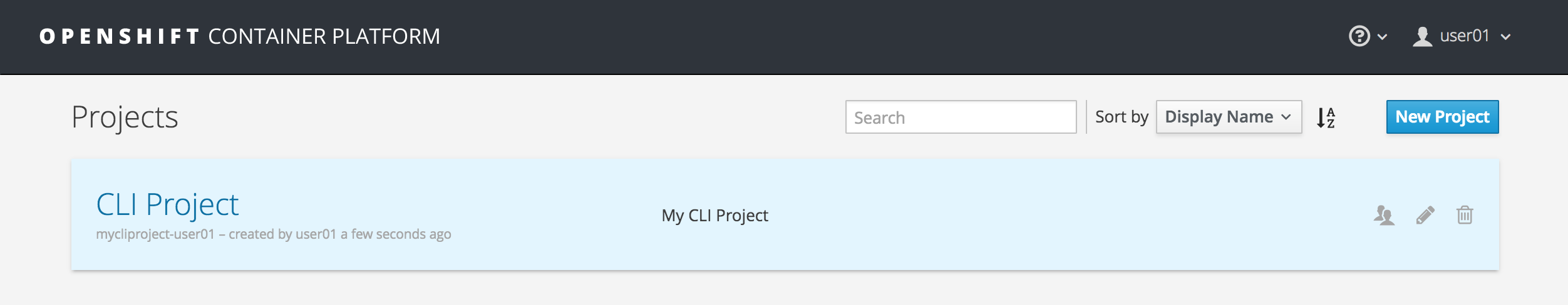 projects list.png